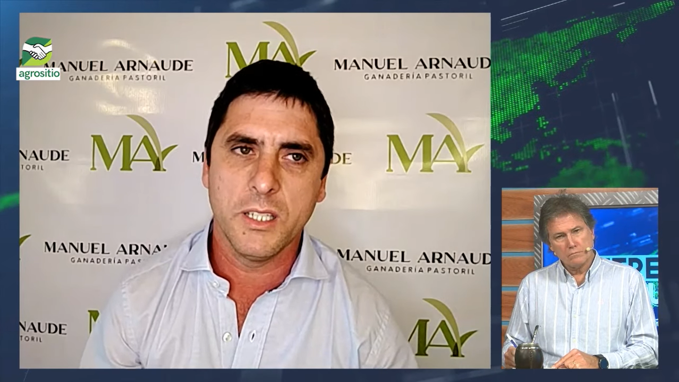 AGROSITIO – Cómo alcanzar una eficiente conversión pasto a carne; con Manuel Arnaude – agrónomo